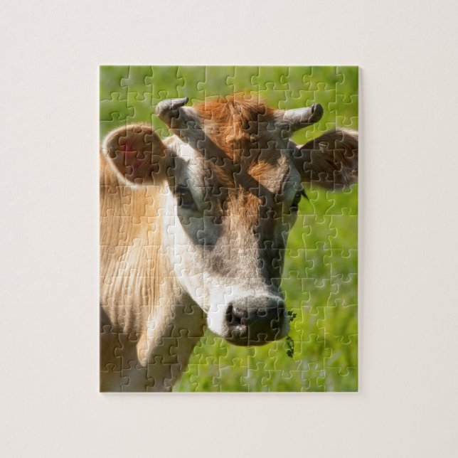 Pretty Jersey Cow Stare Jigsaw Puzzle (Vertical)