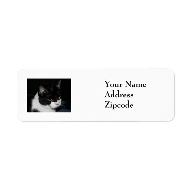 Pretty Kitty Address Label Return Address Label (Front)