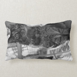 Pretty Kitty Bright Eyes Pillow