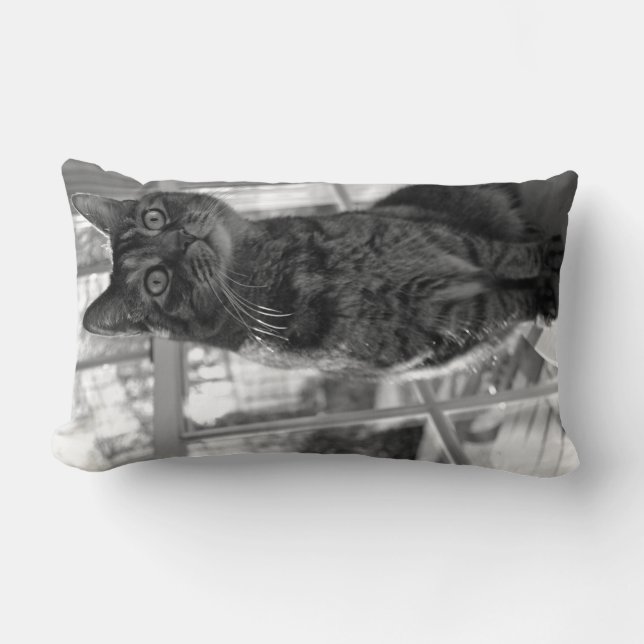 Pretty Kitty Bright Eyes Pillow (Front)