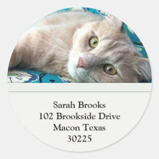 Pretty Kitty Classic Round Sticker
