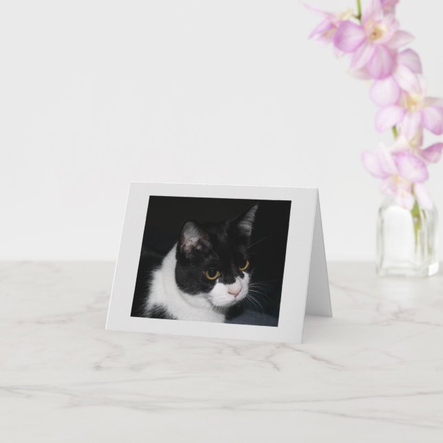 Pretty Kitty Inapirational Note Card (Orchid)