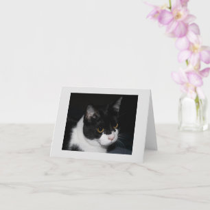 Pretty Kitty Inapirational Note Card