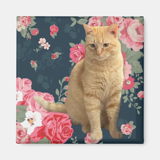 Pretty Kitty Magnet (Front)