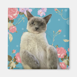 Pretty Kitty Magnet