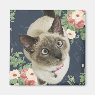Pretty Kitty Magnet