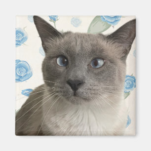 Pretty Kitty Magnet