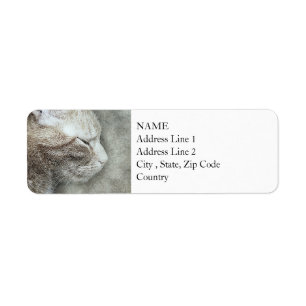 Pretty Kitty Profile Abstract Watercolor Return Address Label
