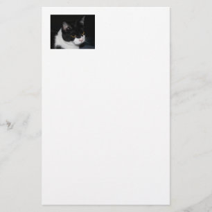 Pretty Kitty Stationery