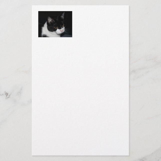Pretty Kitty Stationery (Front)