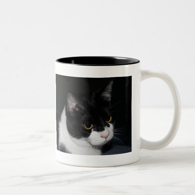 Pretty Kitty Two-Tone Mug (Right)