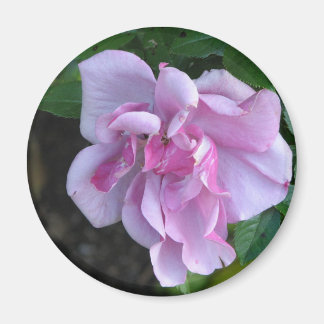 Pretty Lady 092 Magnet