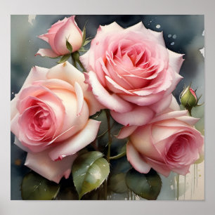 Pretty light pink roses garden watercolor painting poster