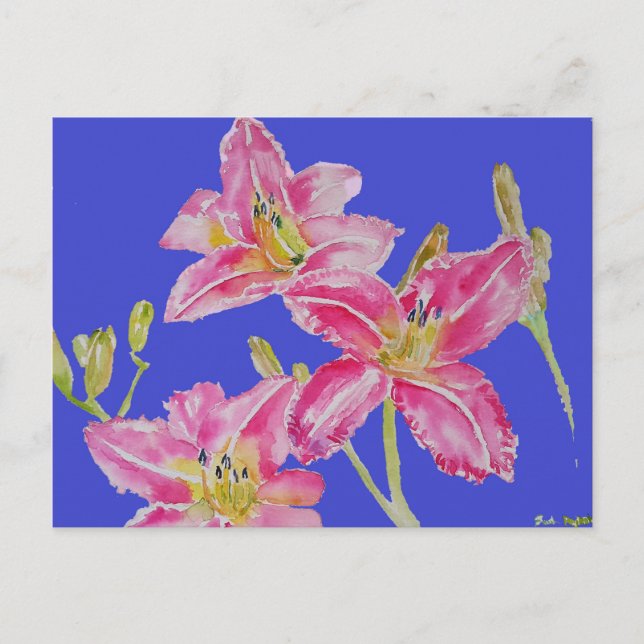 Pretty Lily In Pink Watercolor Painting Postcard (Front)