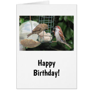 Pretty Little Birds Birthday Card