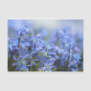 Pretty Little Blue Bells Tissue Paper