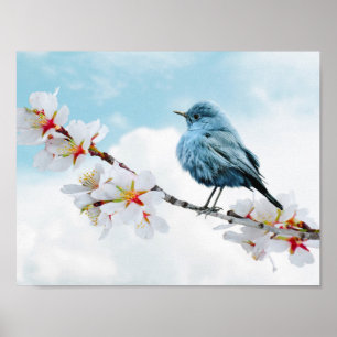 Pretty Little Bluebird Poster