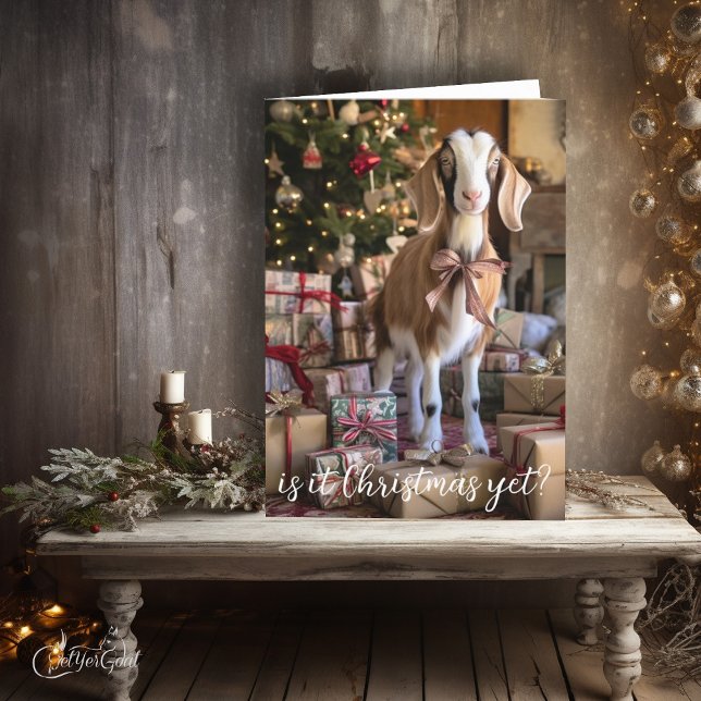 Pretty Little Goat - Is it Christmas Yet Card (Just like any kid, this little goat can't hardly wait for Santa - is it Christmas yet?  #zazzlemade)