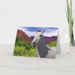 Pretty Little Gray Grey Pony with Big Eyes - Blank Card