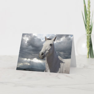 Pretty Little Gray Grey Pony with Big Eyes - Blank Card