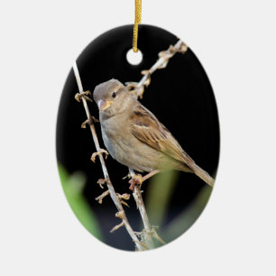 Pretty Little Sparrow Ceramic Ornament