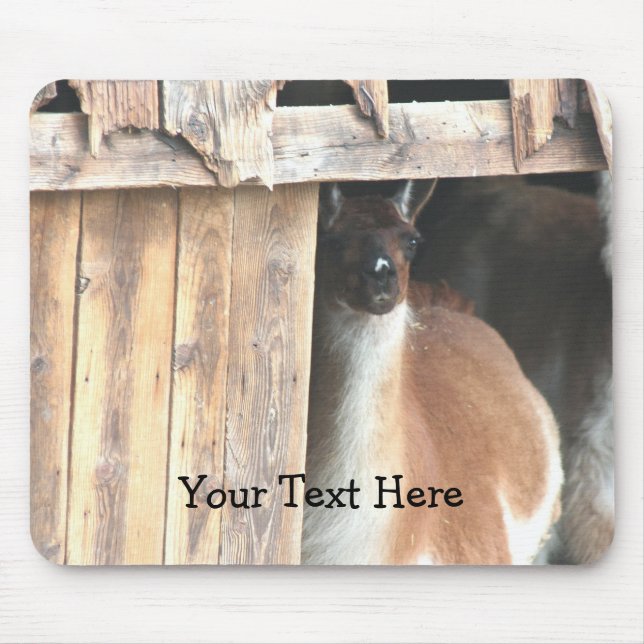 Pretty Llama Farm Animal Mousepad (Front)