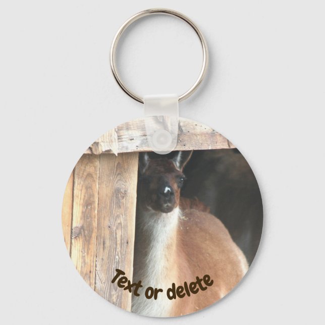 Pretty Llama Farm Animal Personalized Key Ring (Front)