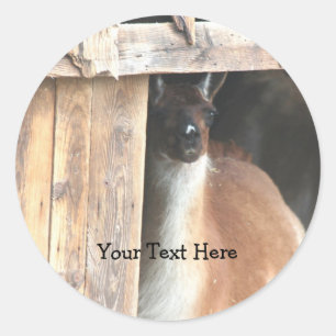 Pretty Llama Farm Animal Sticker