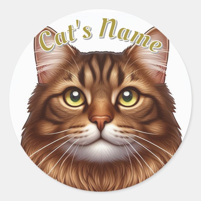 Pretty Longhaired Brown Tabby Cat • Personalised Classic Round Sticker (Front)