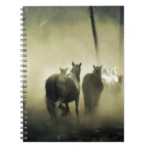 PRETTY LOOKING HORSES NOTEBOOK