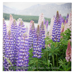 Pretty Lupins @ Lake Tekapo New Zealand Ceramic Tile