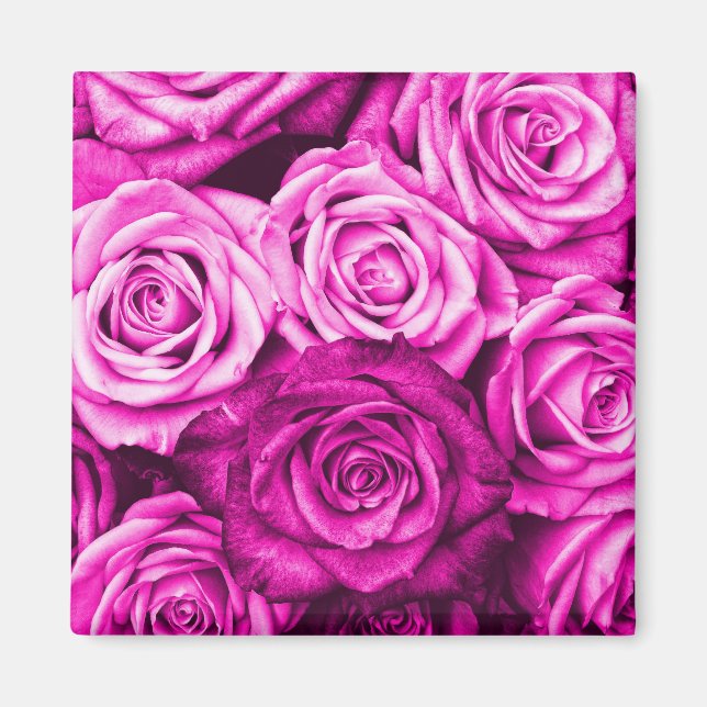 Pretty Magenta Pink Roses Flower Bouquet Magnet (Front)