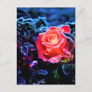 Pretty Magic Frosted Pink Fantasy Rose Garden Postcard