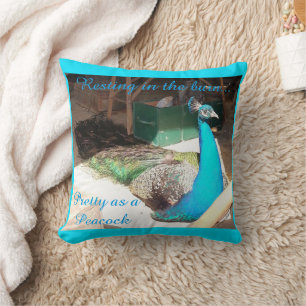 Pretty Male Blue Peacock Throw Pillow
