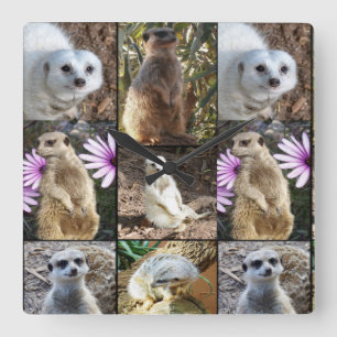 Pretty Meerkats In A Photo Collage, Square Wall Clock