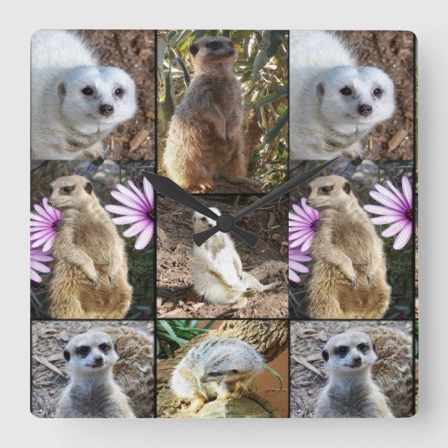 Pretty Meerkats In A Photo Collage, Square Wall Clock (Front)