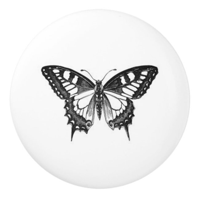 Pretty Monarch Butterfly in black and white Ceramic Knob (Front)