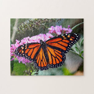 Pretty Monarch Butterfly Photo Jigsaw Puzzle