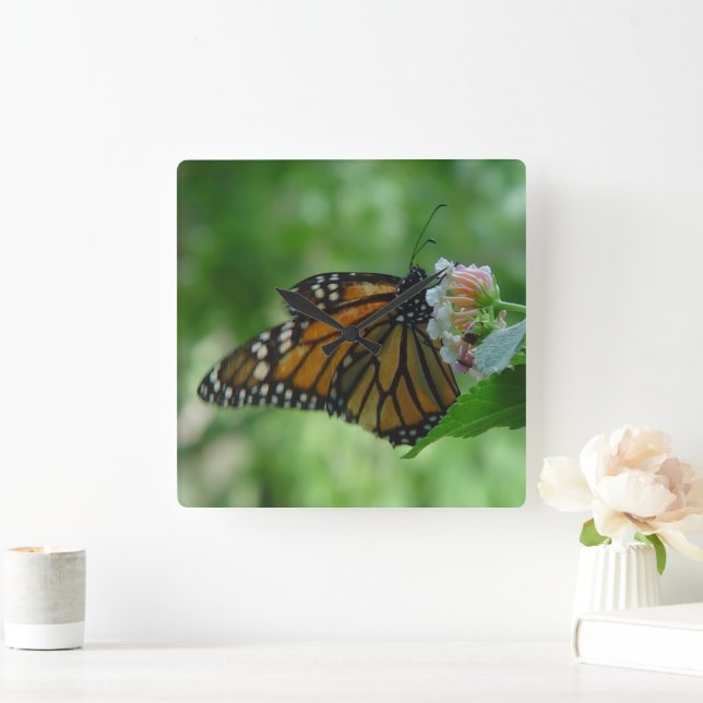 Pretty Monarch Butterfly Square Wall Clock (Home)