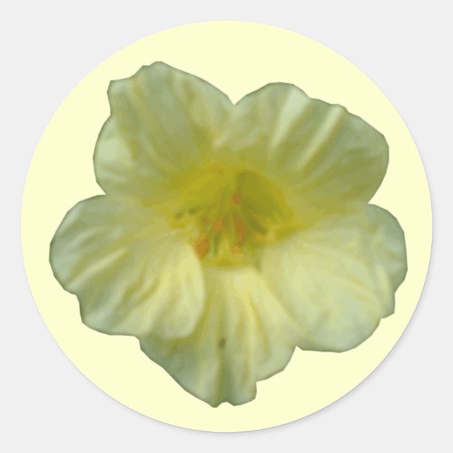 Pretty Nasturtium Flower Sticker (Front)