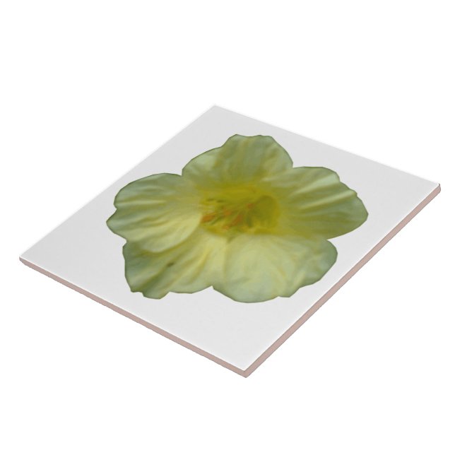 Pretty Nasturtium Tile (Side)