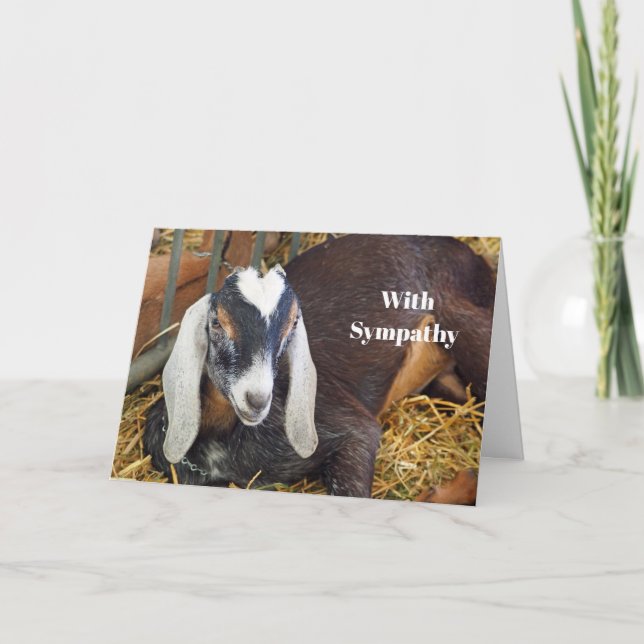 Pretty Nubian Goat Photo Sympathy Card (Front)