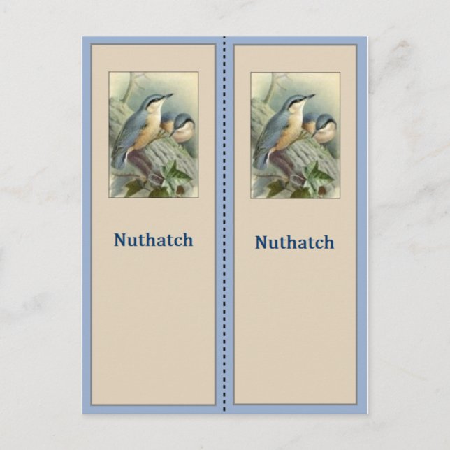Pretty Nuthatch Bird Bookmark Postcard (Front)