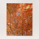 Pretty Orange Fall Leaves  Jigsaw Puzzle<br><div class="desc">I took this photo in a forest of trees by my house. Pretty orange leaves Autumn puzzle.</div>