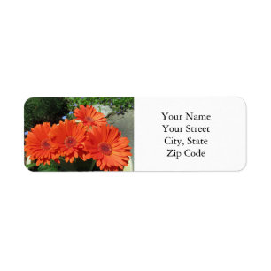 Pretty Orange Floral Daisy Photography Return Address Label