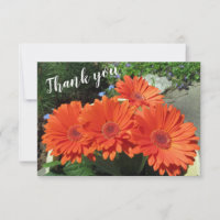 Pretty Orange Gerbera Daisy Photo Handwritten  Tha