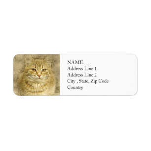 Pretty Orange Kitty   Abstract   Watercolor Return Address Label