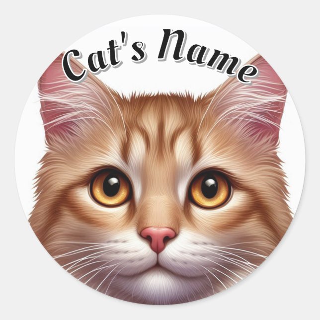 Pretty Orange Longhaired Cat • Personalised Classic Round Sticker (Front)