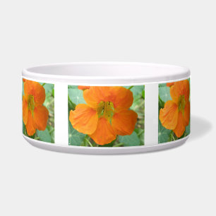 Pretty Orange Nasturtium Flower Dog Bowl