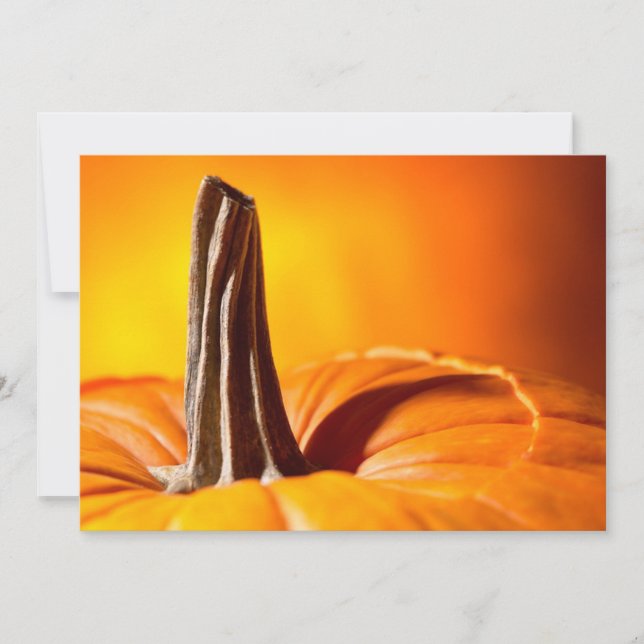 Pretty Orange Pumpkin Invitations (Front)
